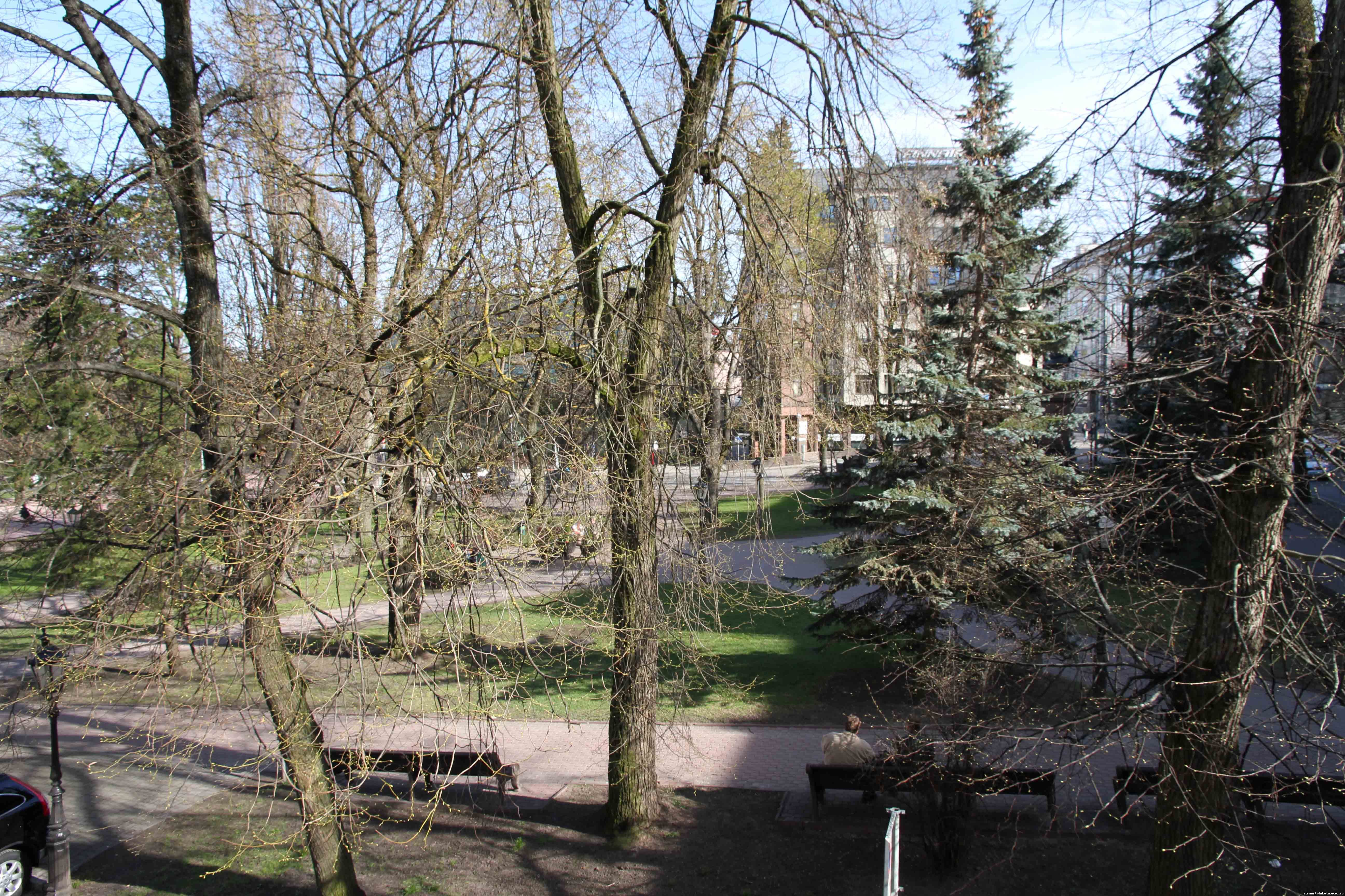 Tartu, Wilde Guest Apartament, вид из окна на парк Барклай